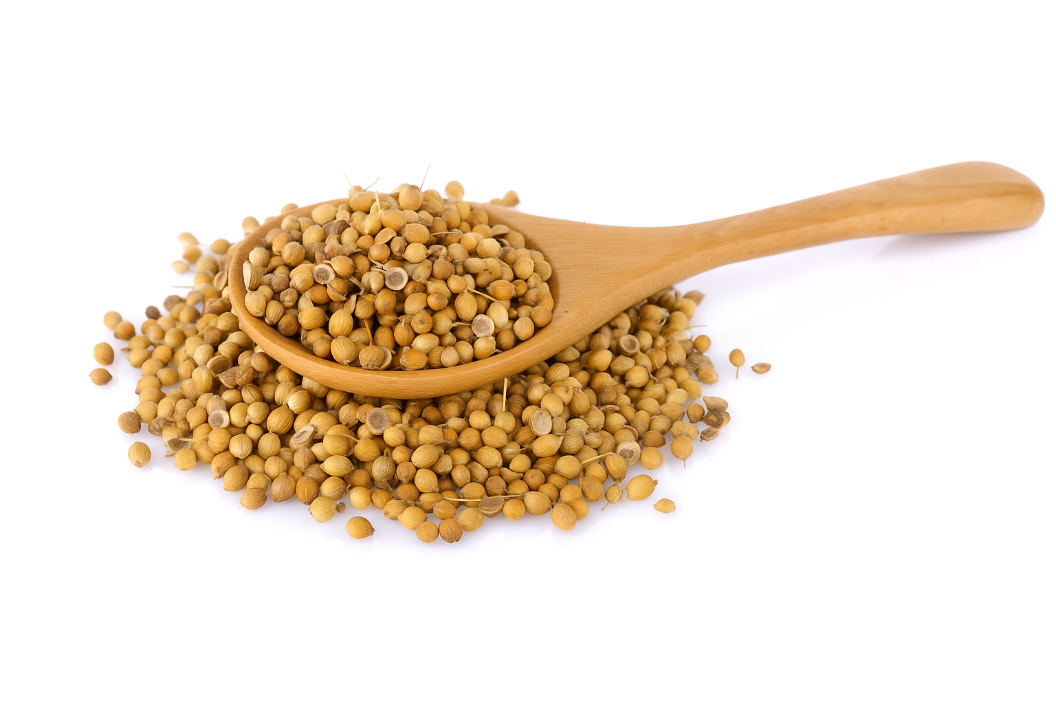 Coriander Seeds